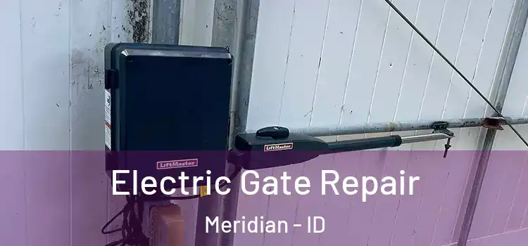  Electric Gate Repair Meridian - ID